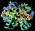 Bar-headed goose hemoglobin